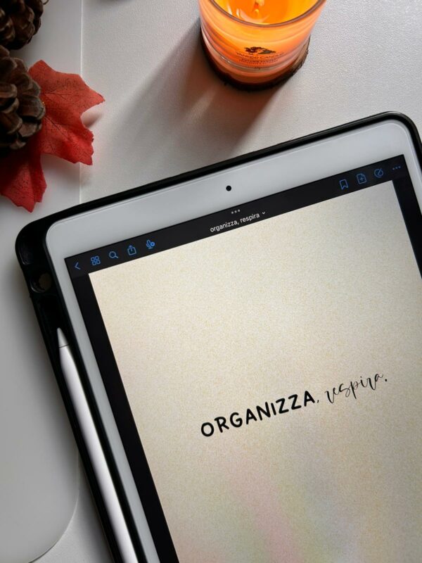 organizza respira planner annuale non datato con visione mensile settimanale e giornaliera